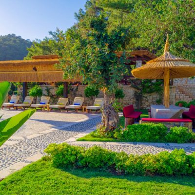 Gokce Main New Gallery_8